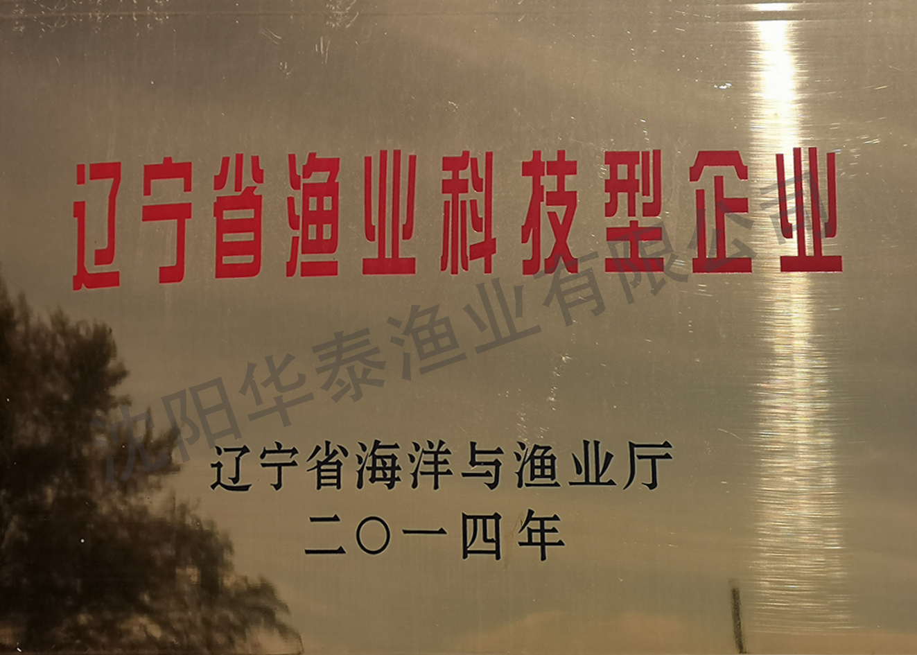 &#33521;&#22269;&#19978;&#24066;&#20844;&#21496;&#23448;&#32593;&#51;&#54;&#53;&#40;&#20013;&#22269;&#41;&#32929;&#20221;&#26377;&#38480;&#20844;&#21496;